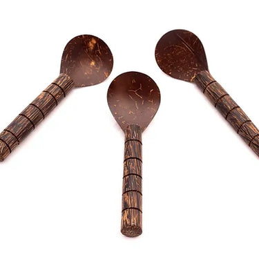 Coconut Shell Spoon