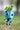 Blue robot planter with succulent plant, ideal for small indoor plants, modern tech-inspired home decor.